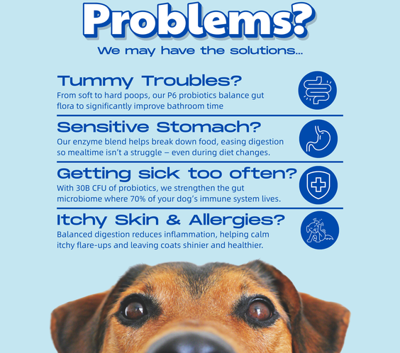 Gut Health - Digestive Probiotic