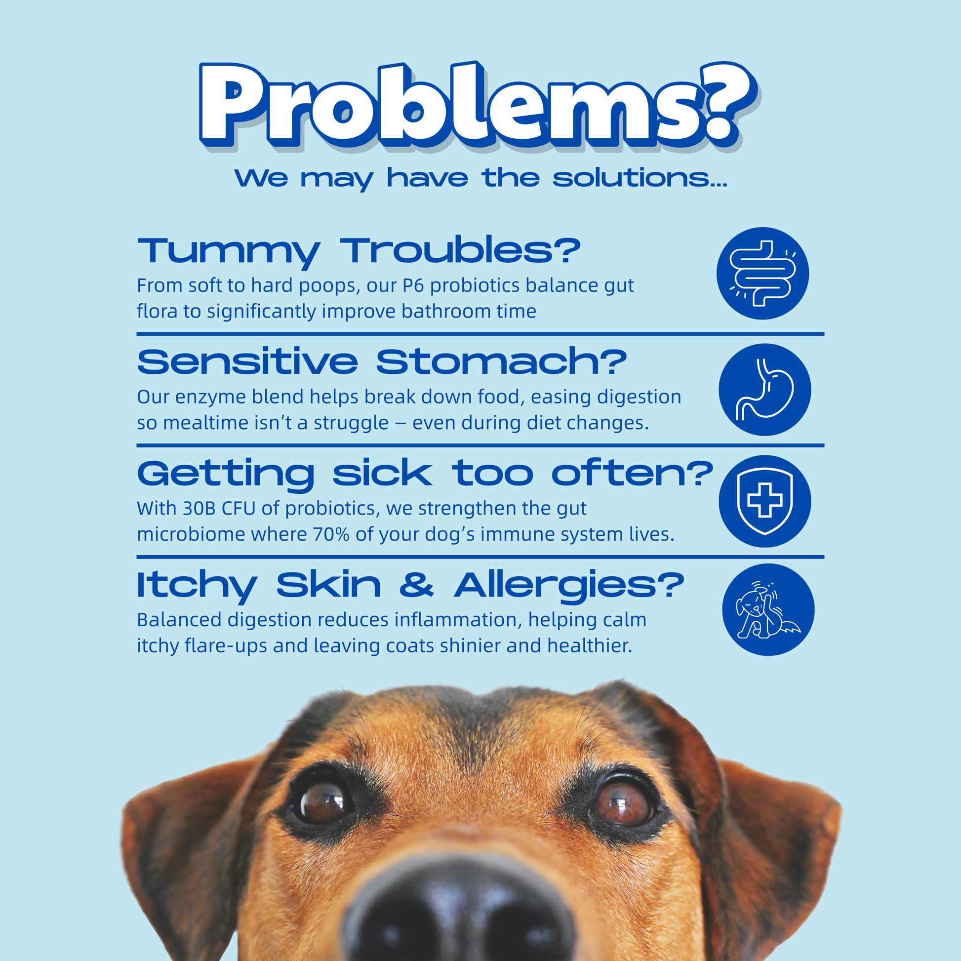 Gut Health - Digestive Probiotic