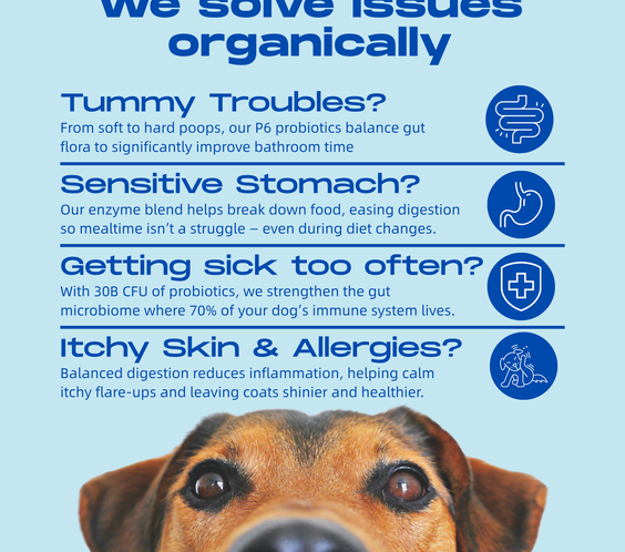 Gut Health - Digestive Probiotic