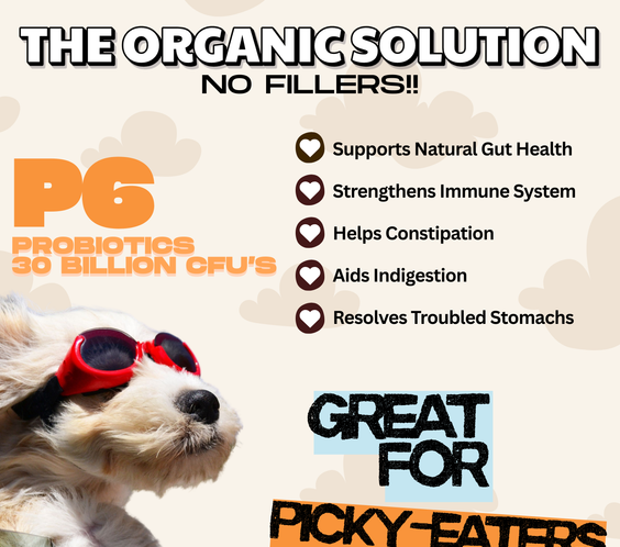 Gut Health - Digestive Probiotic