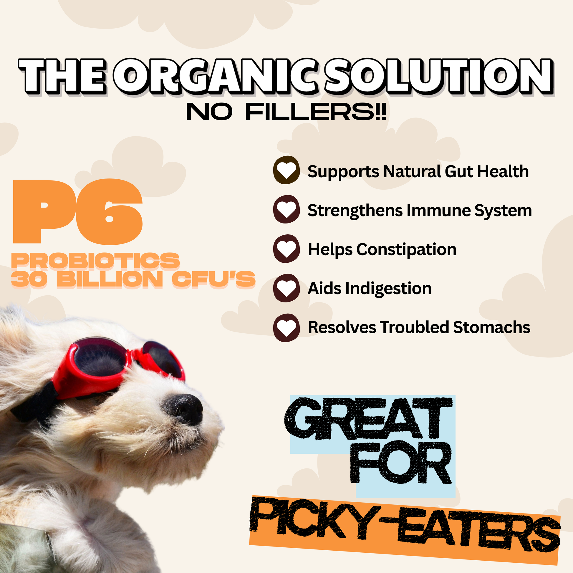Gut Health - Digestive Probiotic