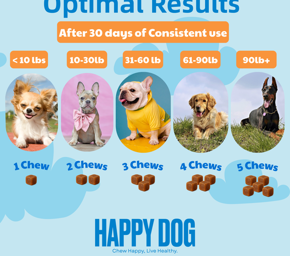 Gut Health - Digestive Probiotic