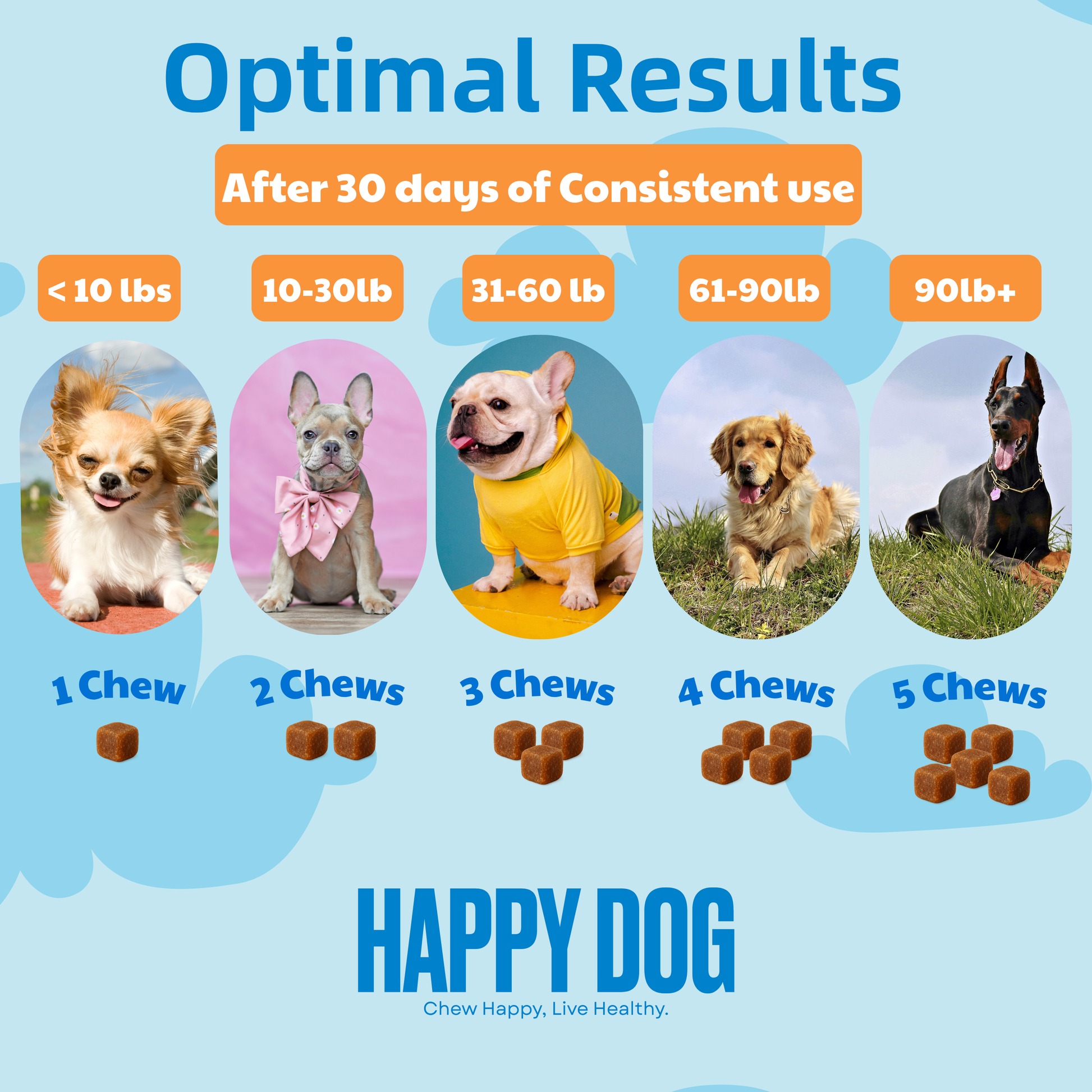 Gut Health - Digestive Probiotic